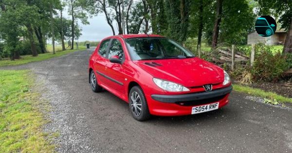 Peugeot 206 (2002-2004)