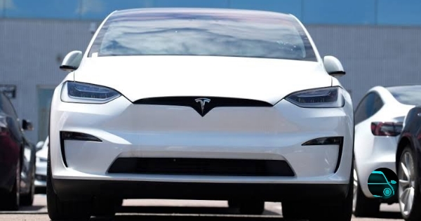 2019 Tesla Model X